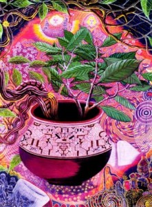 O que acontece ao beber Ayahuasca | Vivência em Cura